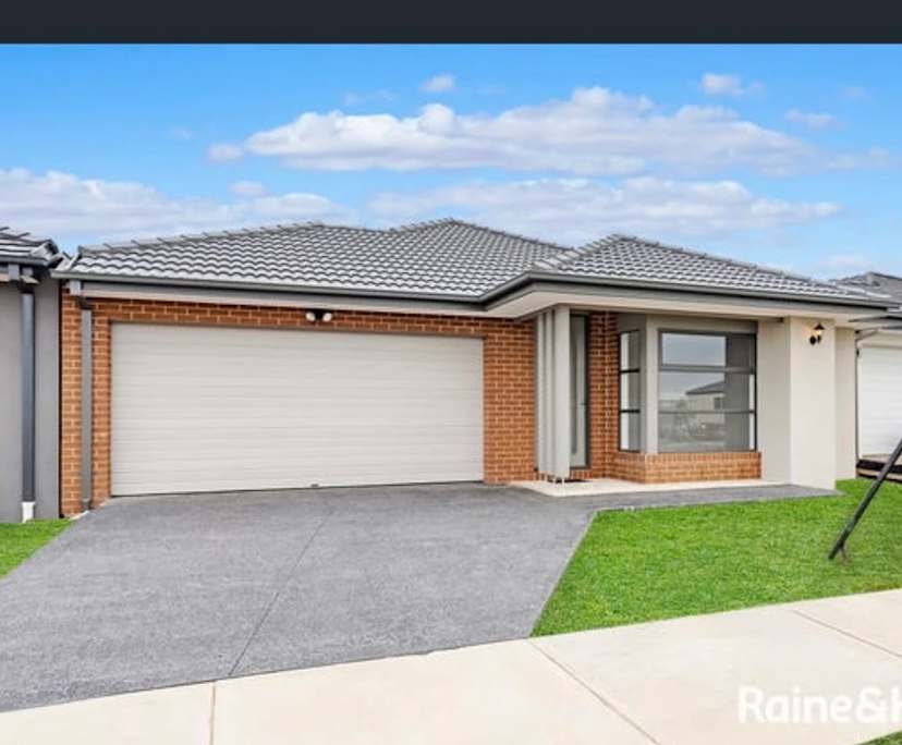 Whole property with 4 rooms for rent