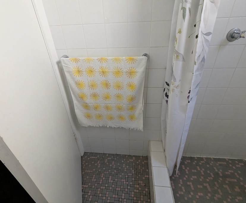 $700, 1-bed, 1 bathroom, Bondi NSW 2026