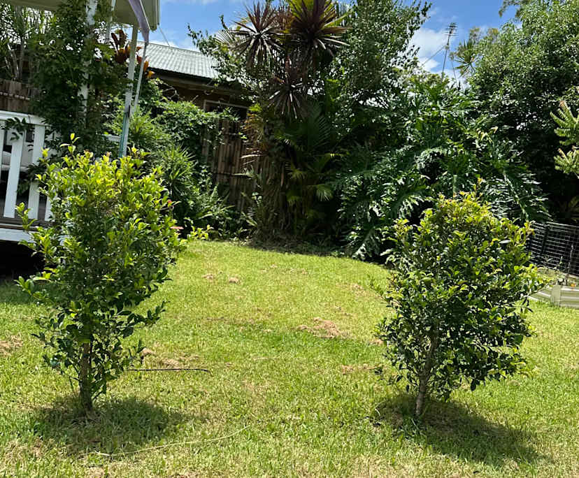 $270, Share-house, 2 bathrooms, Yandina QLD 4561