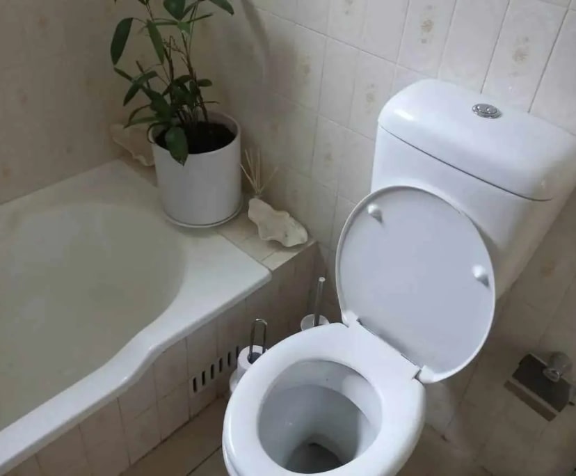 $290, Share-house, 4 bathrooms, Dulwich Hill NSW 2203