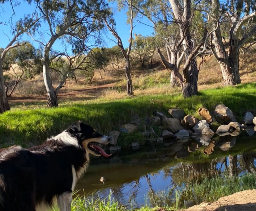 $425, Share-house, 3 bathrooms, Valley View SA 5093