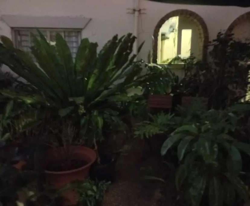 $290, Share-house, 4 bathrooms, Dulwich Hill NSW 2203