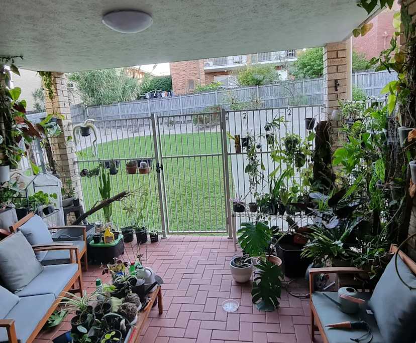 $325, Flatshare, 2 bathrooms, Coorparoo QLD 4151
