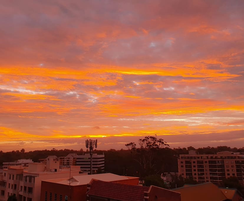 $490, Flatshare, 2 bathrooms, Epping NSW 2121