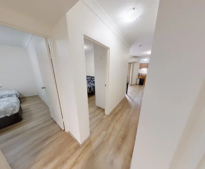 $230, Flatshare, 3 bathrooms, Chippendale NSW 2008