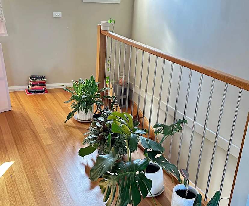 $256, Share-house, 2 bathrooms, Coburg VIC 3058