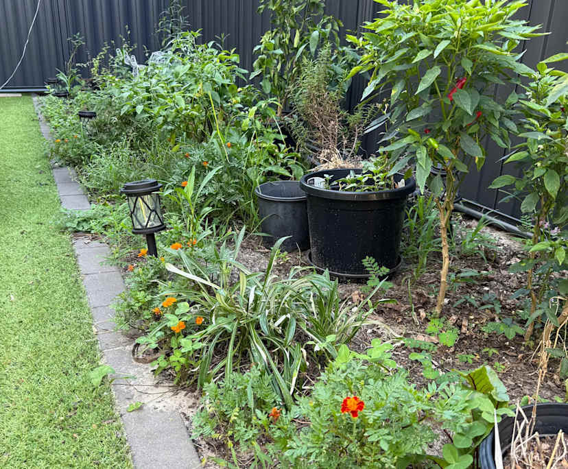 $330, Share-house, 4 bathrooms, Hope Island QLD 4212