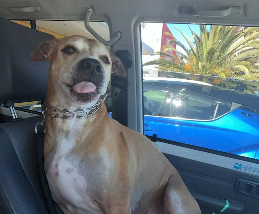 $200, Share-house, 3 bathrooms, Greenfields WA 6210