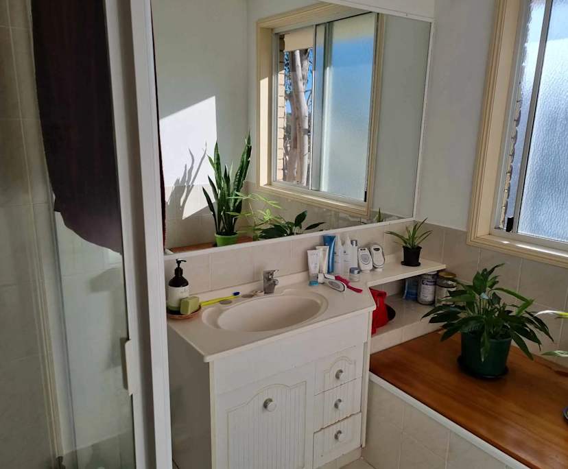 Whole property with 1 room for rent