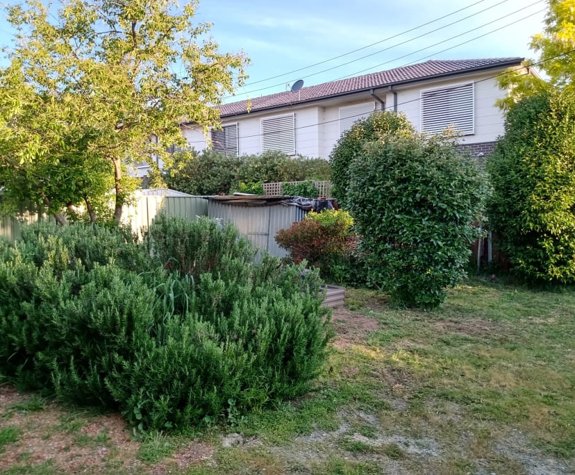 Unfurnished room in a share house