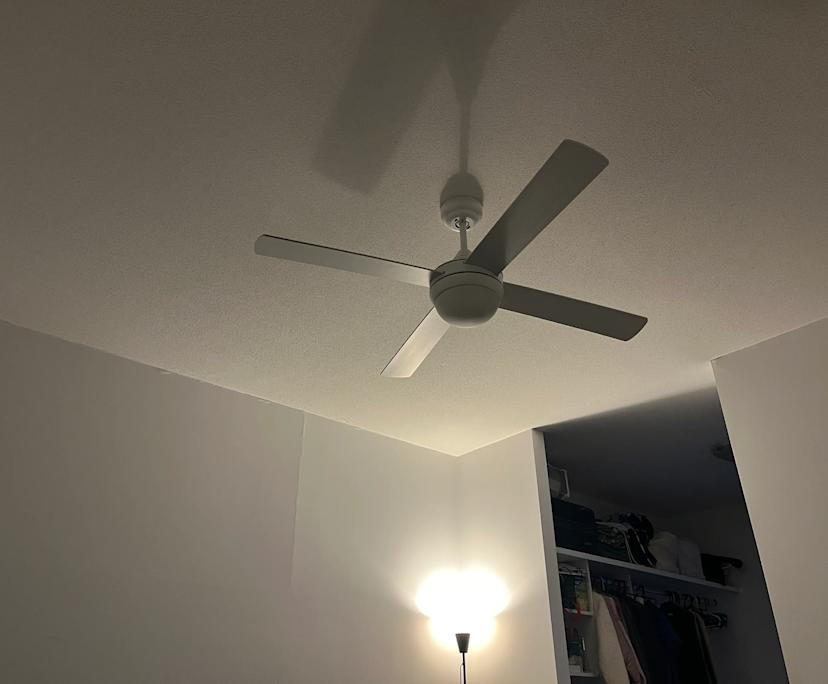 $330, Flatshare, 2 bathrooms, Milton QLD 4064