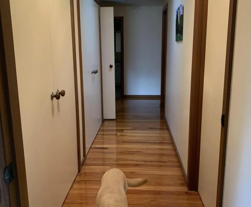 Room in a share house