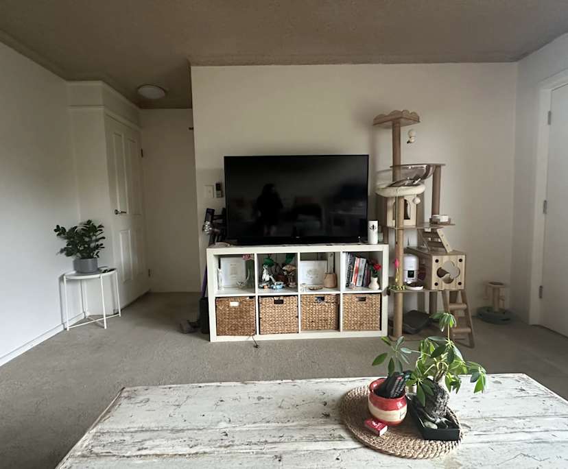 Unfurnished room in a flatshare