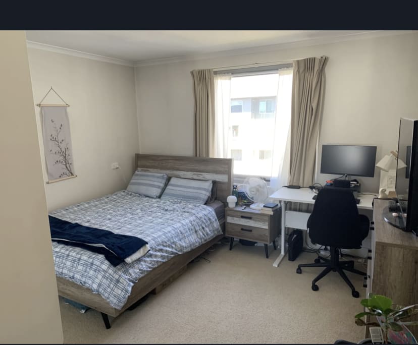 Whole Property for Rent in Turner, Canberra 590,