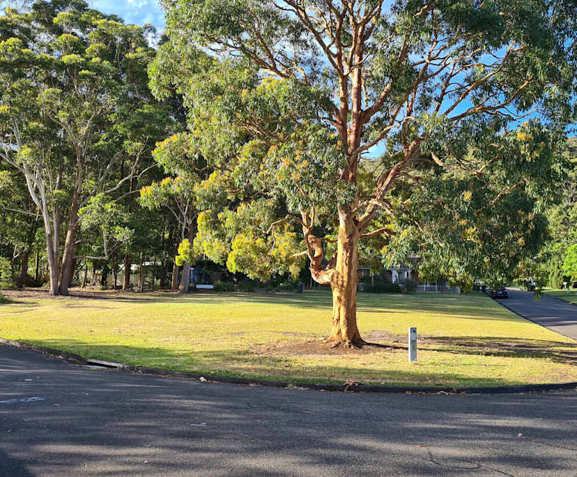 $275, Share-house, 3 bathrooms, Kincumber NSW 2251