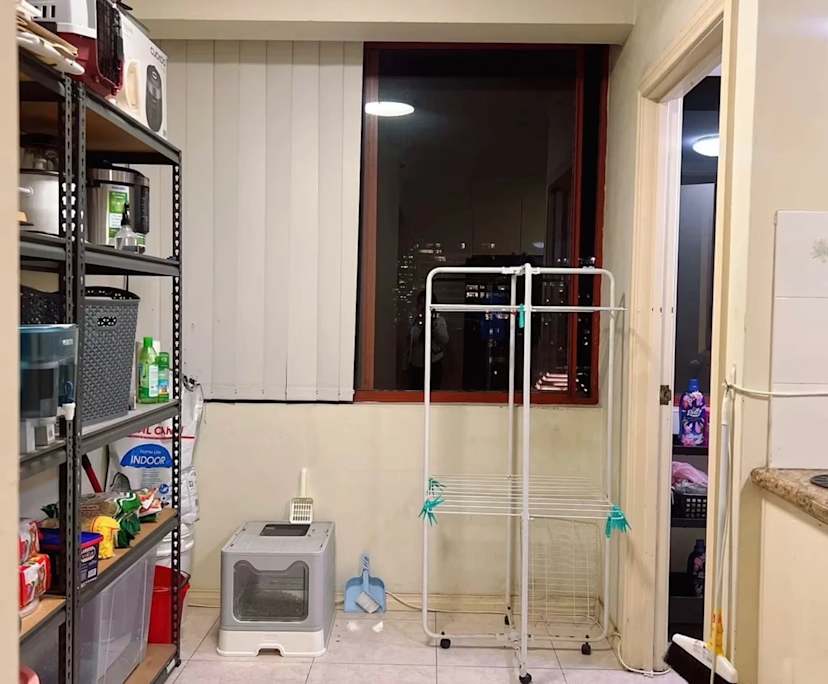 $350, Flatshare, 2 bathrooms, Sydney NSW 2000