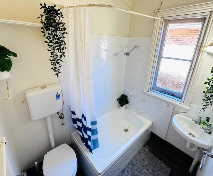 $260, Flatshare, 6 bathrooms, Strathfield NSW 2135