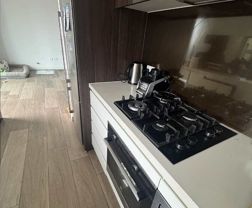 $525, Student-accommodation, 2 bathrooms, Mascot NSW 2020