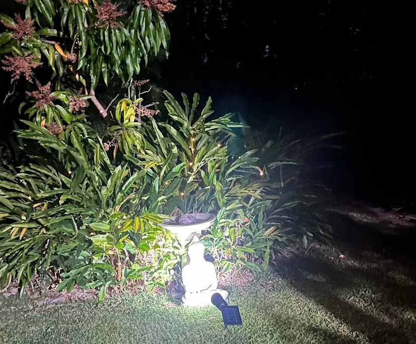 $300, Share-house, 4 bathrooms, Shailer Park QLD 4128