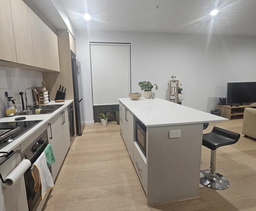 $260, Flatshare, 3 bathrooms, Tonsley SA 5042