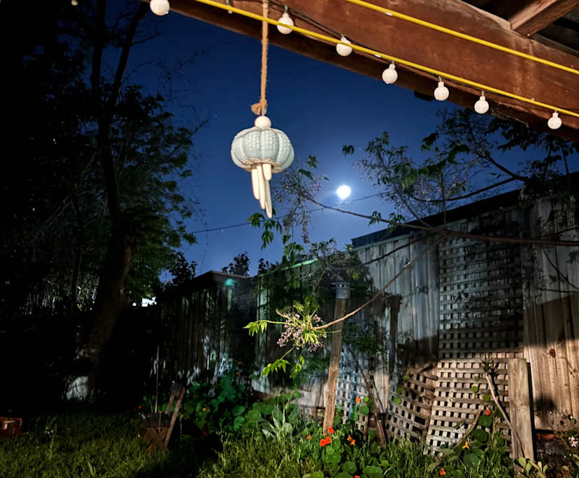 Room in a share house