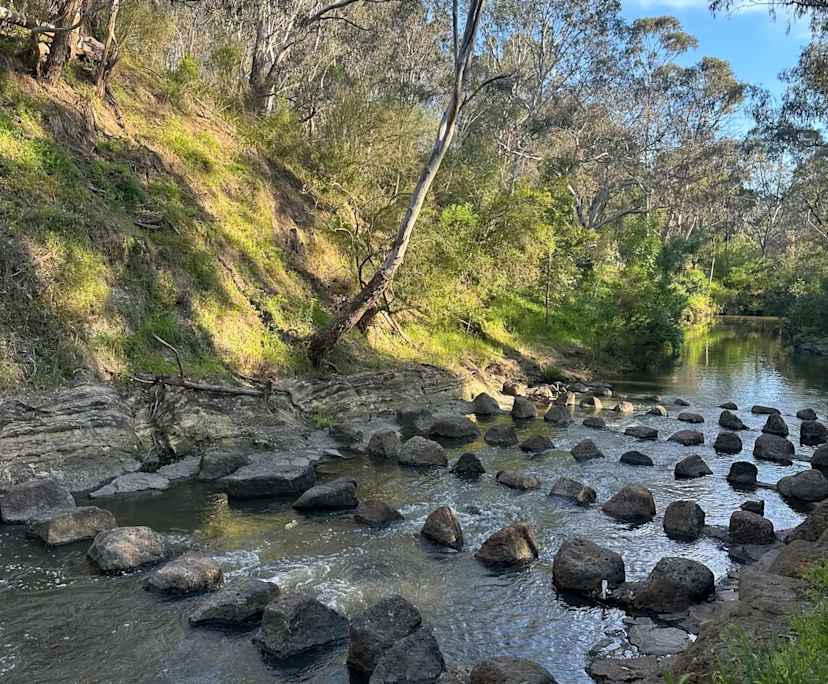 Unfurnished room in a share house