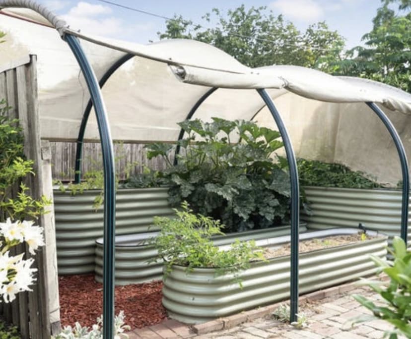 $300, Share-house, 5 bathrooms, Hawker ACT 2614