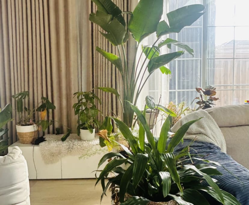 Furnished room in a share house