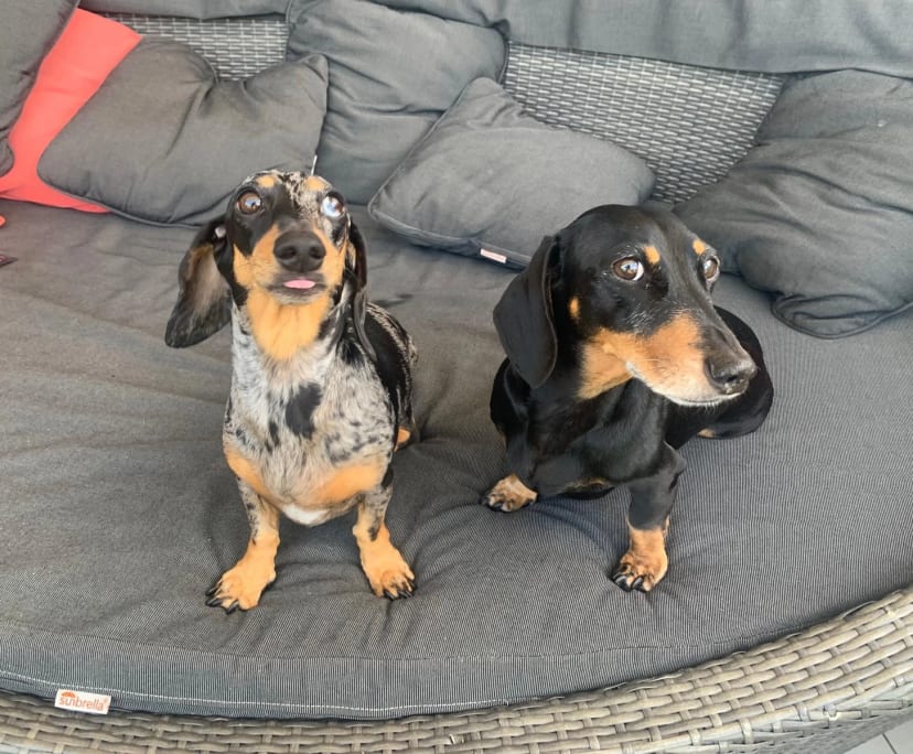 $340, Share-house, 3 bathrooms, Birtinya QLD 4575