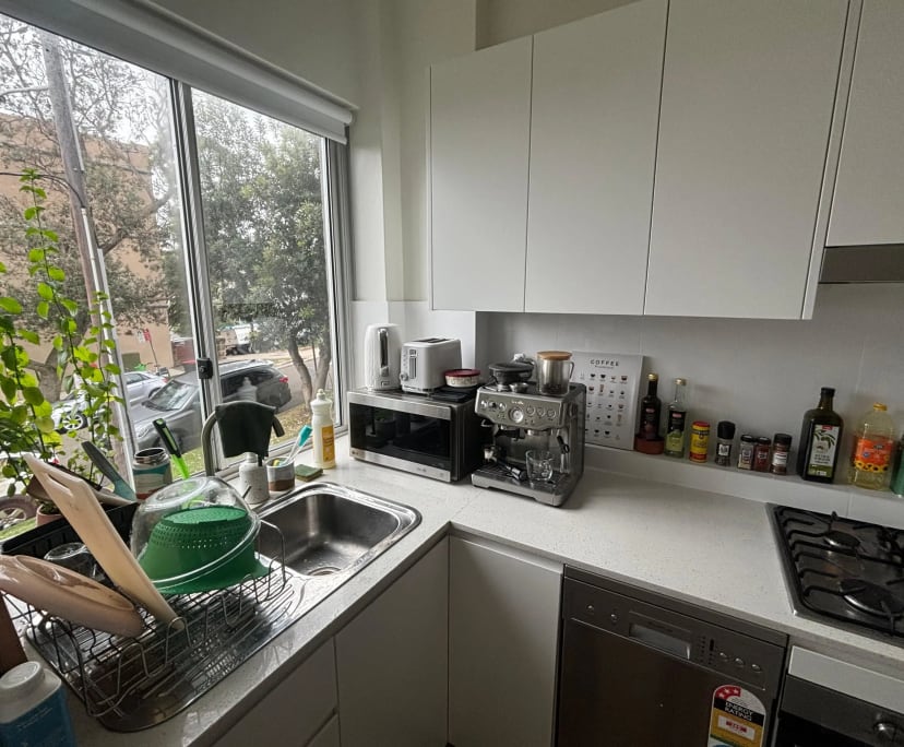 Whole property with 2 rooms for rent