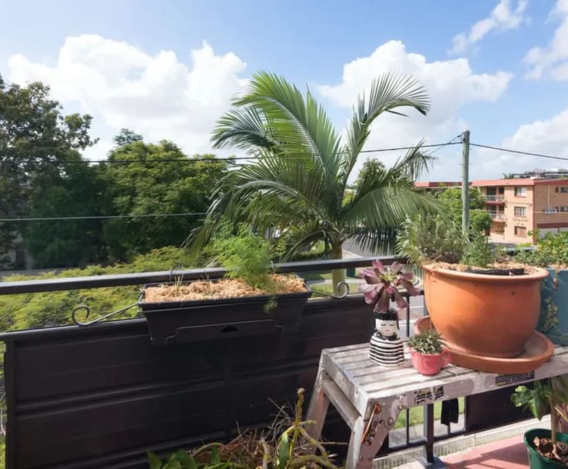 $280, Share-house, 2 bathrooms, Ascot QLD 4007