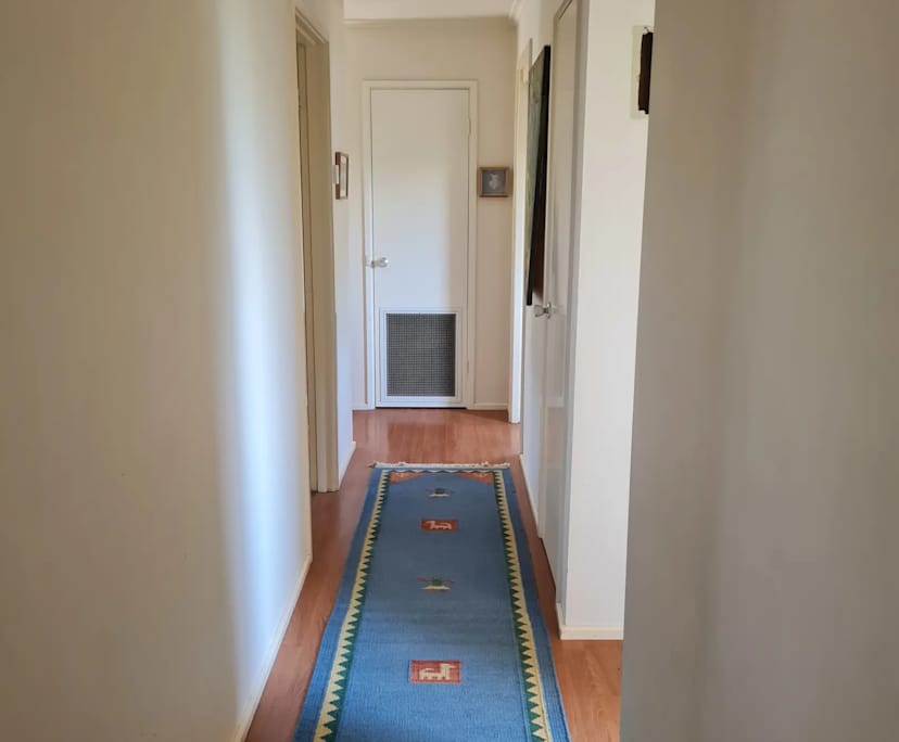 $250, Student-accommodation, 3 bathrooms, Cook ACT 2614