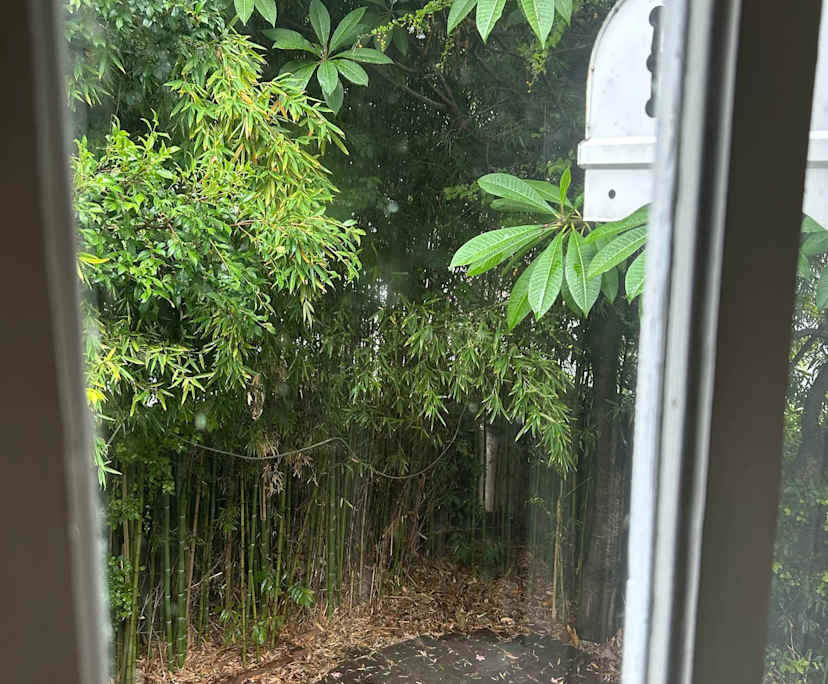 $270-300, Share-house, 2 rooms, Petrie Terrace QLD 4000, Petrie Terrace QLD 4000