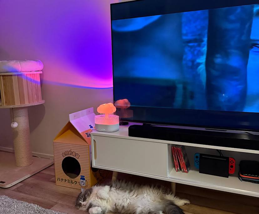 $300, Flatshare, 2 bathrooms, New Farm QLD 4005