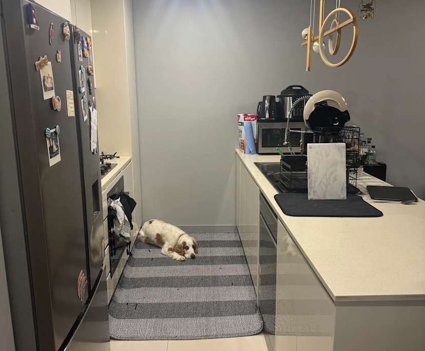 Furnished room in a flatshare