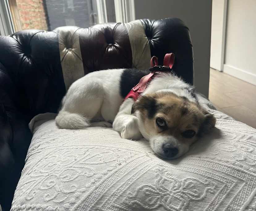 $550, Share-house, 3 bathrooms, Bondi Junction NSW 2022