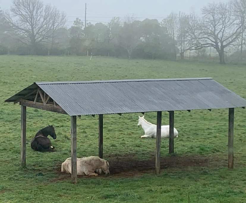 $375, Share-house, 4 bathrooms, Exeter NSW 2579