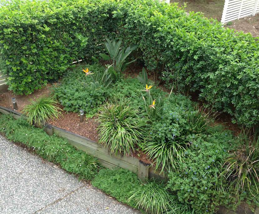 $350, Share-house, 4 bathrooms, Morningside QLD 4170