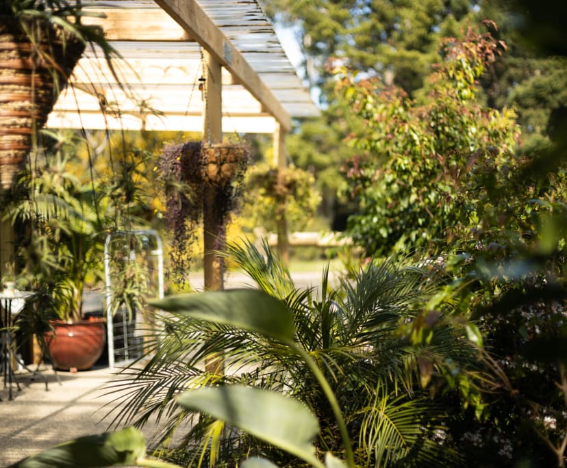 Studio for Rent in Wallington, VIC 350, Furnished...