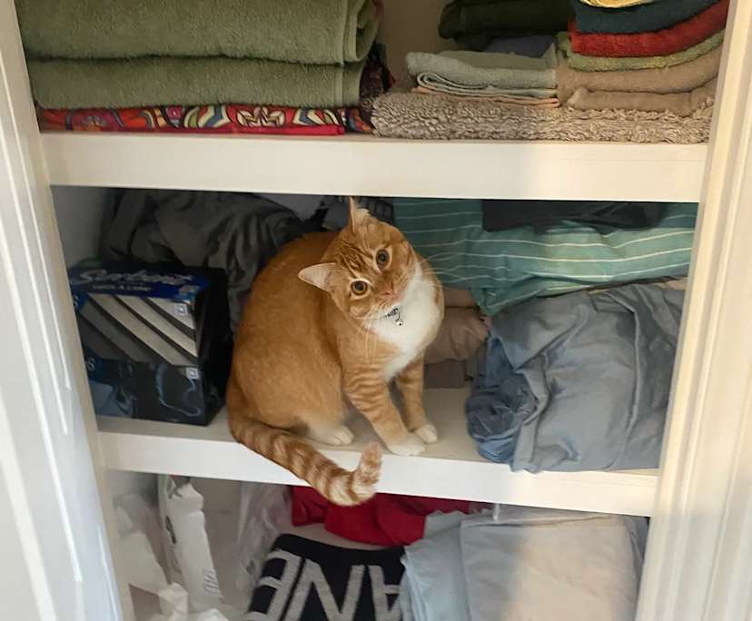 $280, Share-house, 3 bathrooms, Adamstown NSW 2289