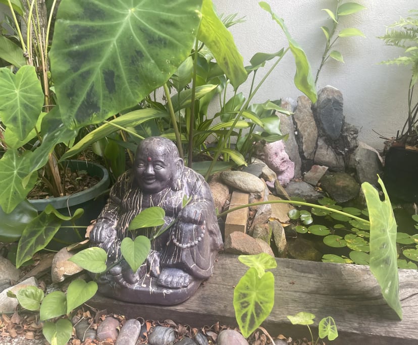 $320, Share-house, 4 bathrooms, Ashmore QLD 4214