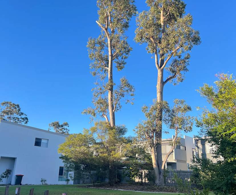 $290, Share-house, 4 bathrooms, Parkinson QLD 4115