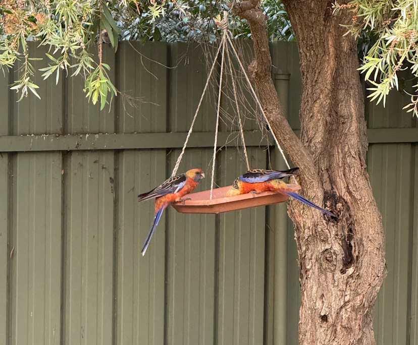 Room in a share house