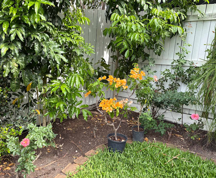 $300-450, Share-house, 4 rooms, Springfield Lakes QLD 4300, Springfield Lakes QLD 4300