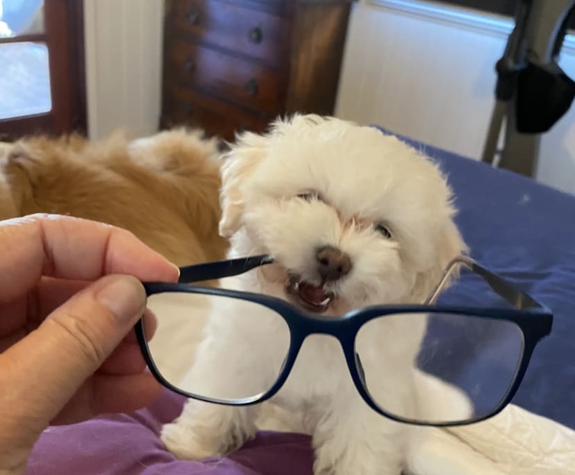 $300, Share-house, 3 bathrooms, Kelvin Grove QLD 4059