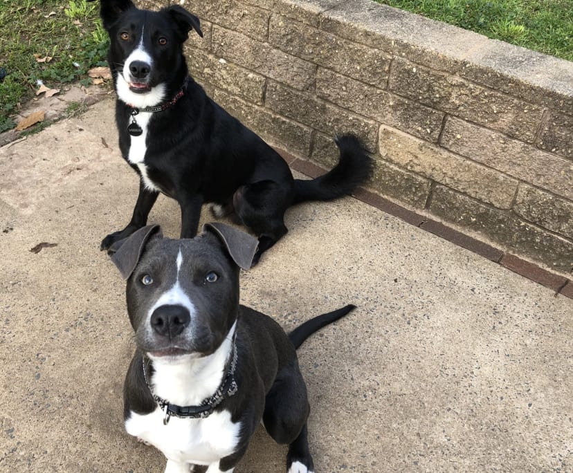 $170, Share-house, 4 bathrooms, Watson ACT 2602