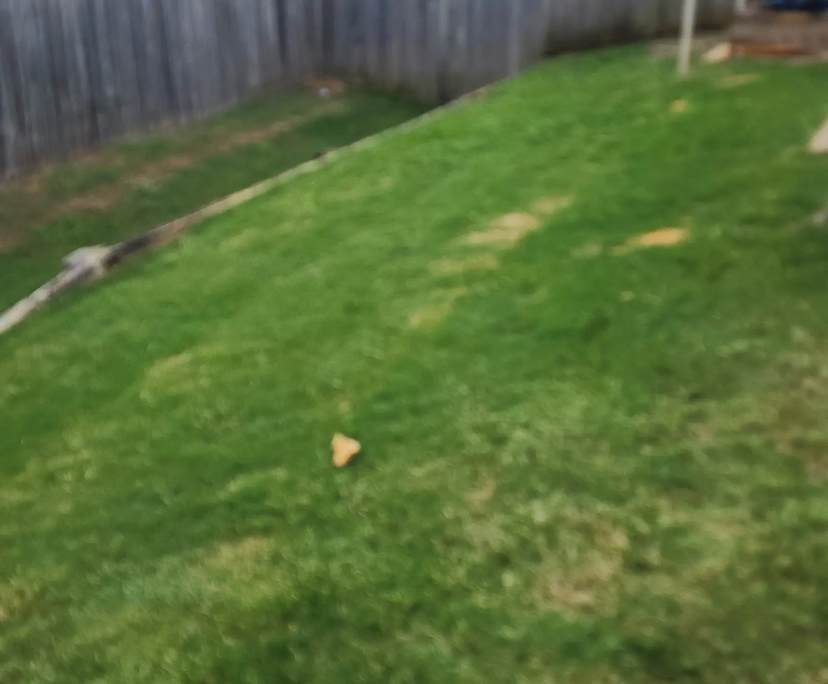 $300, Share-house, 3 bathrooms, Beaudesert QLD 4285