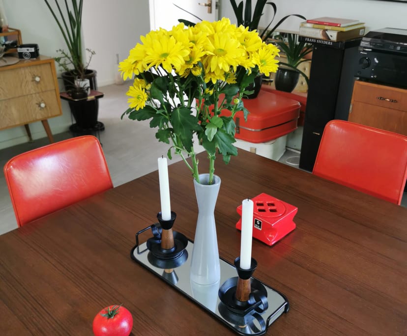 Furnished room with ensuite in a share house