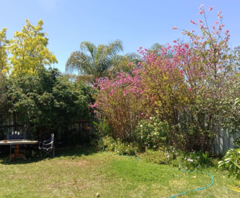 $200, Share-house, 4 bathrooms, Mildura VIC 3500