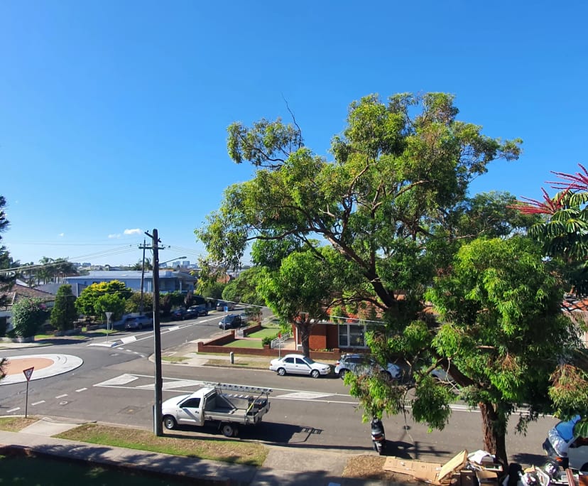 $320, Flatshare, 2 bathrooms, Brighton-Le-Sands NSW 2216